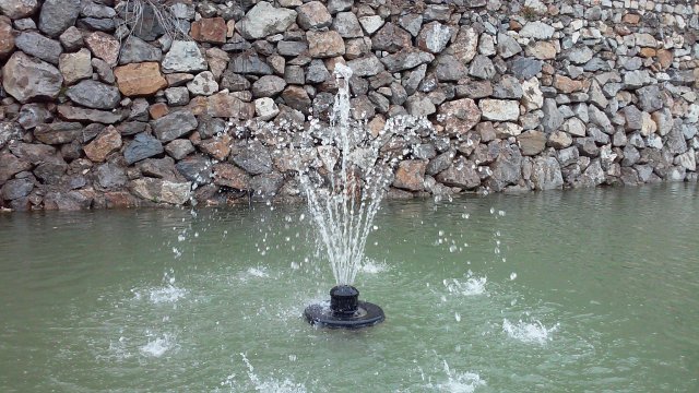 20150321_124350.jpg