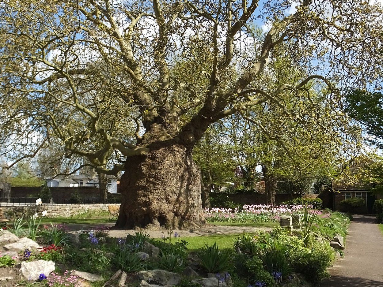 20150428 Westgate Gardens-010.jpg