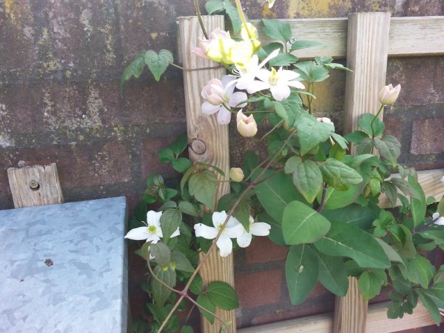 20150505_161928.jpg