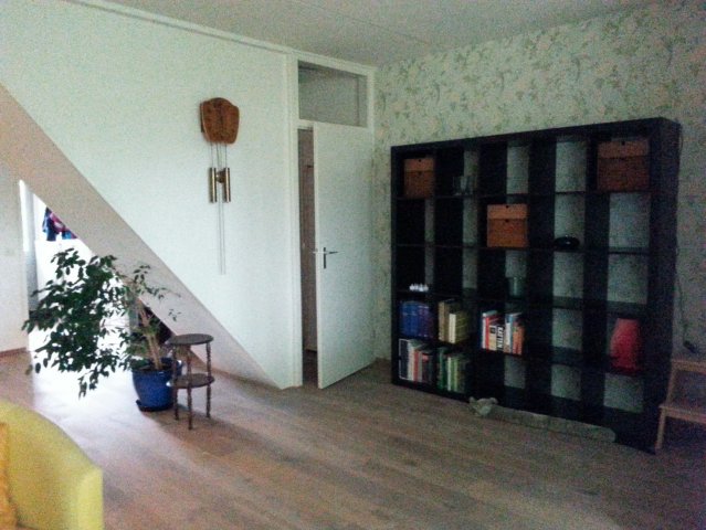 20150816_112958.jpg