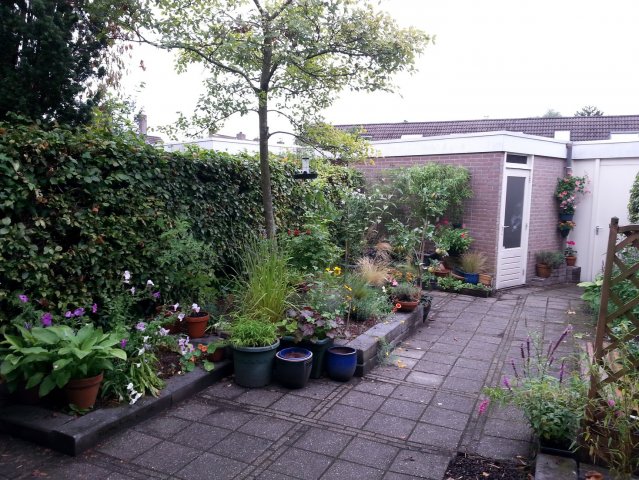 20150816_113052.jpg