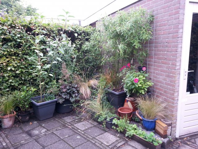 20150816_113106.jpg