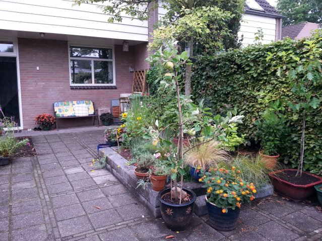 20150816_113118.jpg