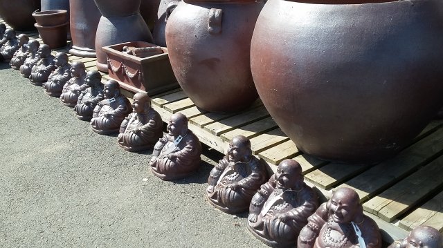 20150816_121121.jpg