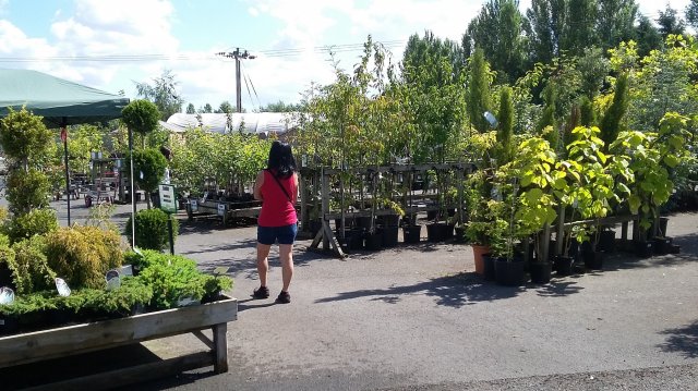 20150816_121143.jpg