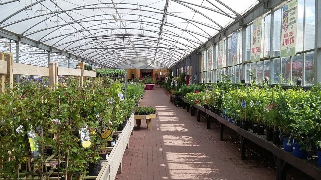 20150816_122949.jpg