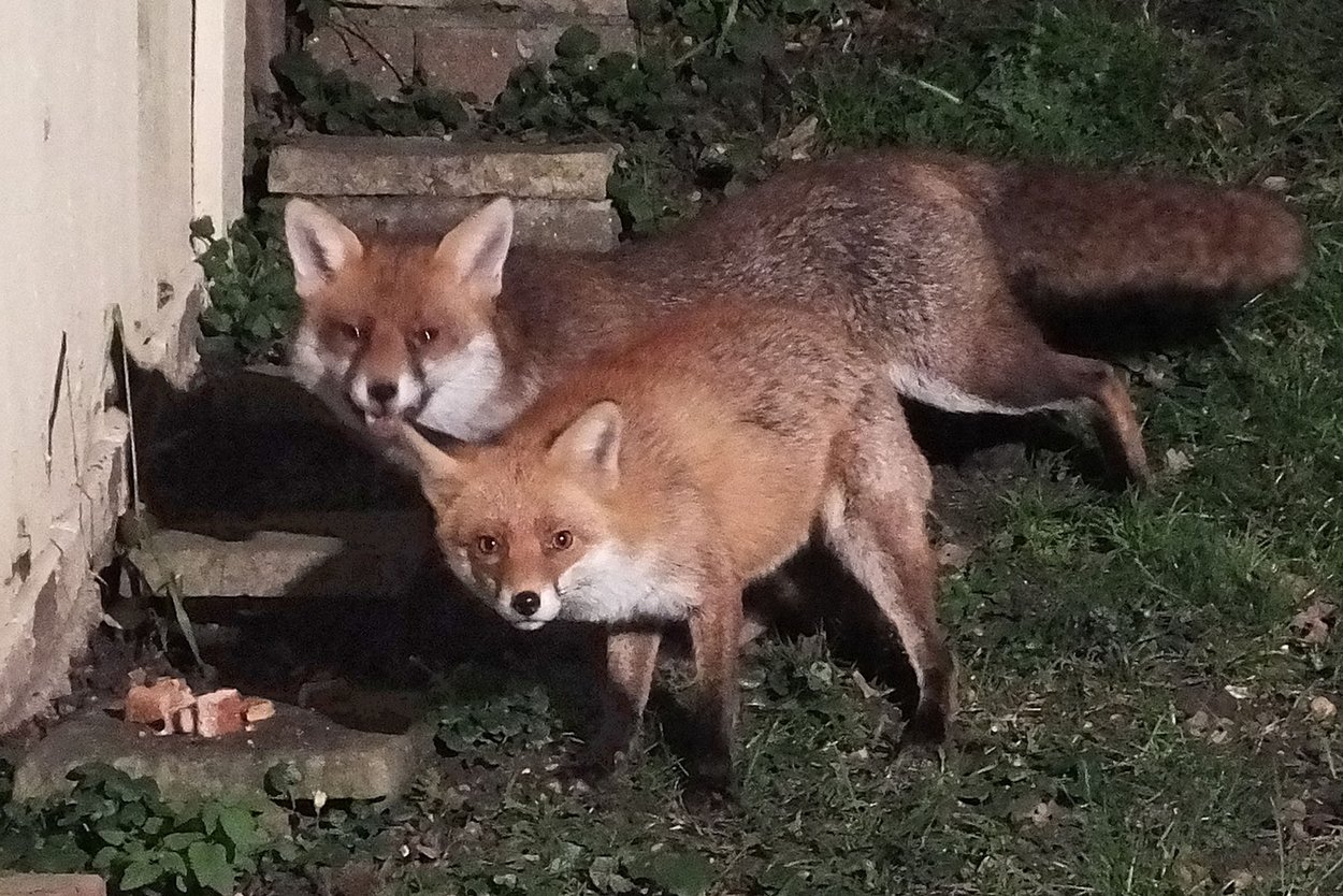 20160117 Missy and Mitch-004 edit.jpg