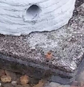 20160313_181900~2~3~2.jpg