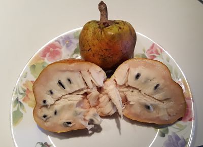 20160317_130136_opt.jpg