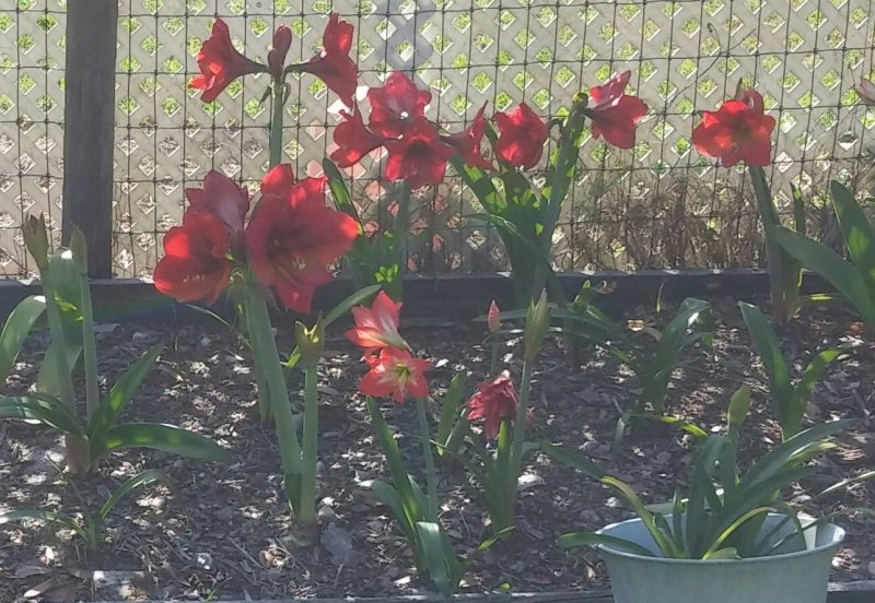 20160408_172520~2~2.jpg