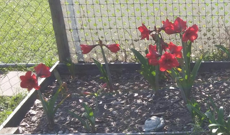 20160408_172520~2~3.jpg