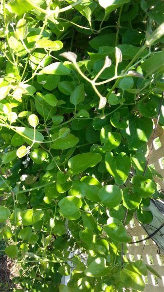 20160417_090118.jpg