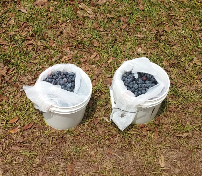 20160430_141800~2.jpg