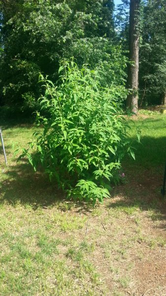 20160521_160720.jpg