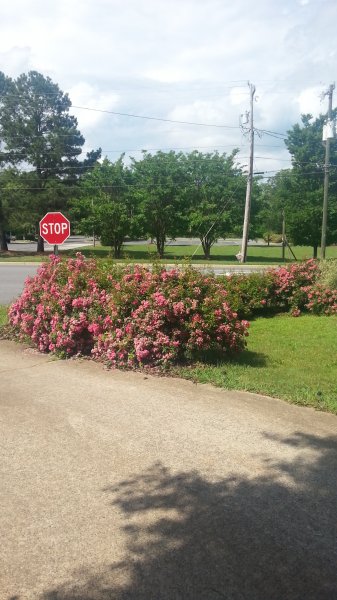 20160521_161032.jpg