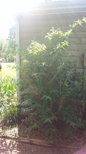 20160521_161627.jpg