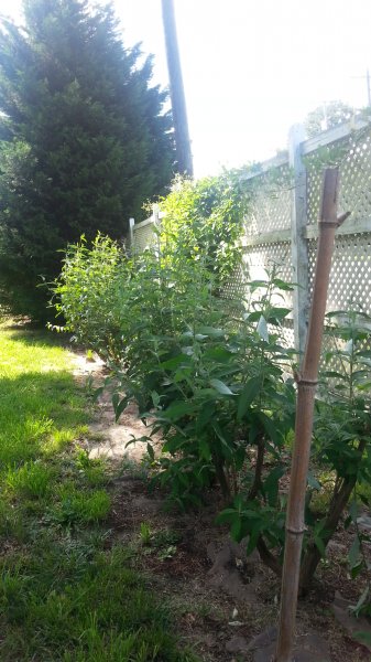20160521_162049.jpg