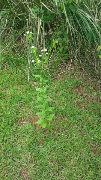 20160522_095636.jpg