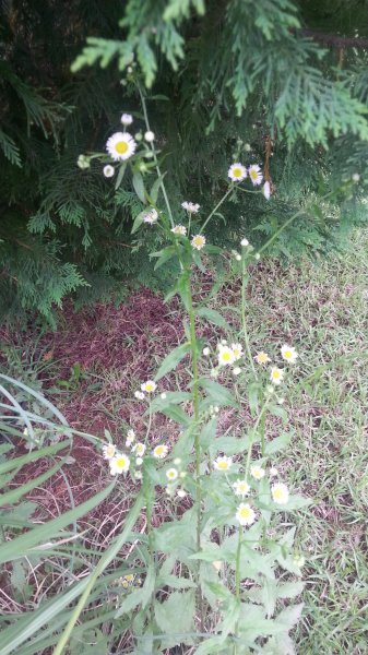 20160522_095832.jpg