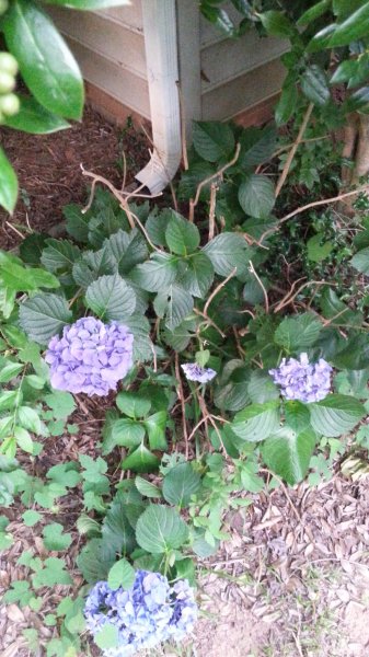 20160614_194513.jpg