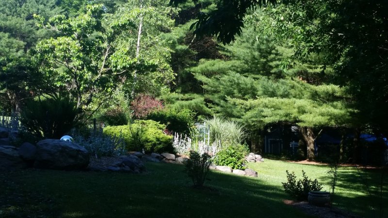 20160630_090458a.jpg