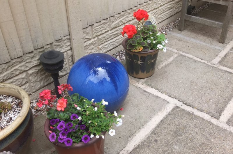 20160717 Around the patio-003.JPG