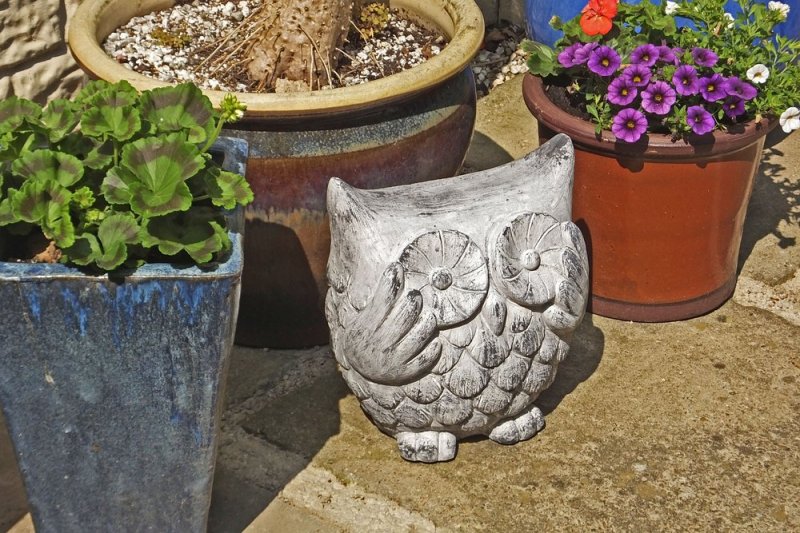 20160723 Another garden ornament.JPG