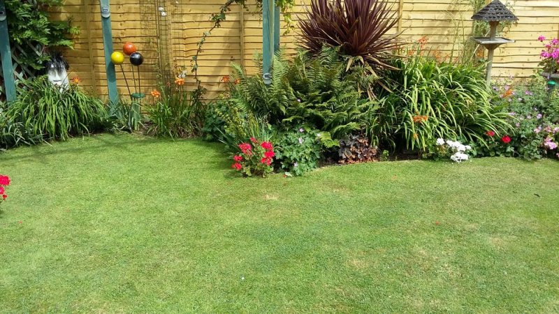20160727_142344.jpg
