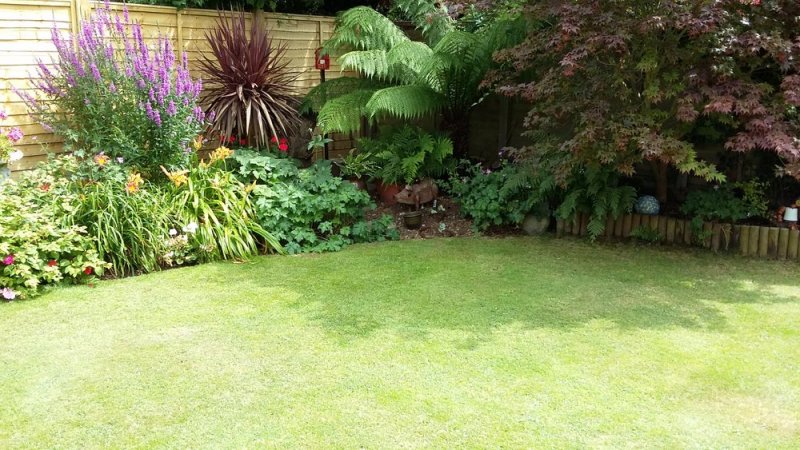 20160727_142354.jpg