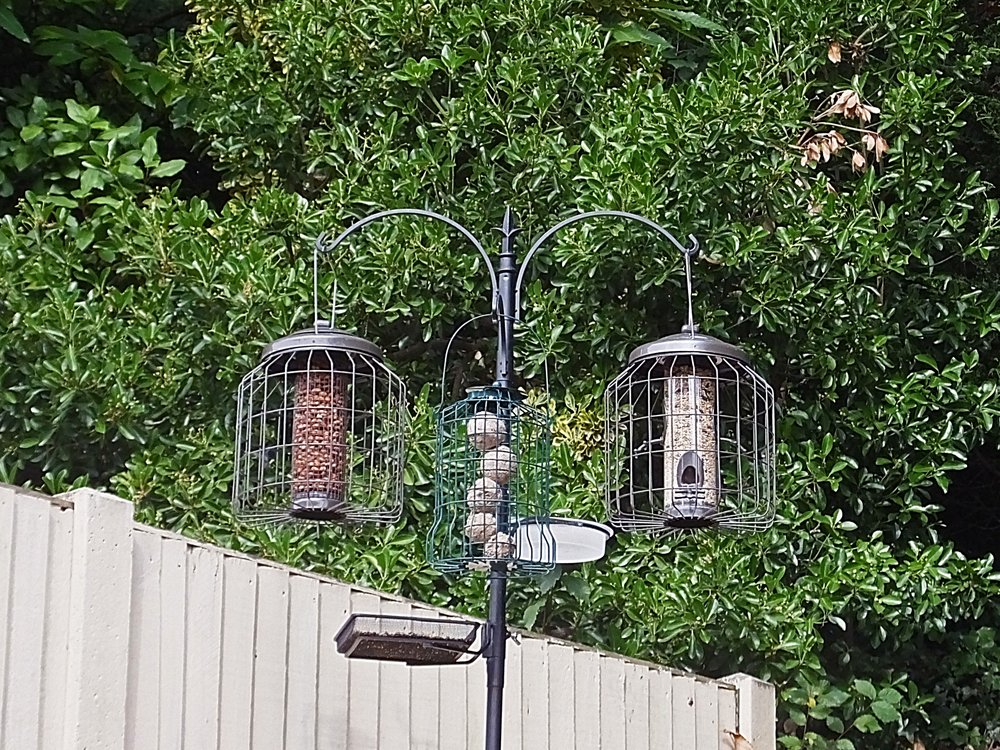 20160827 New feeding station.JPG