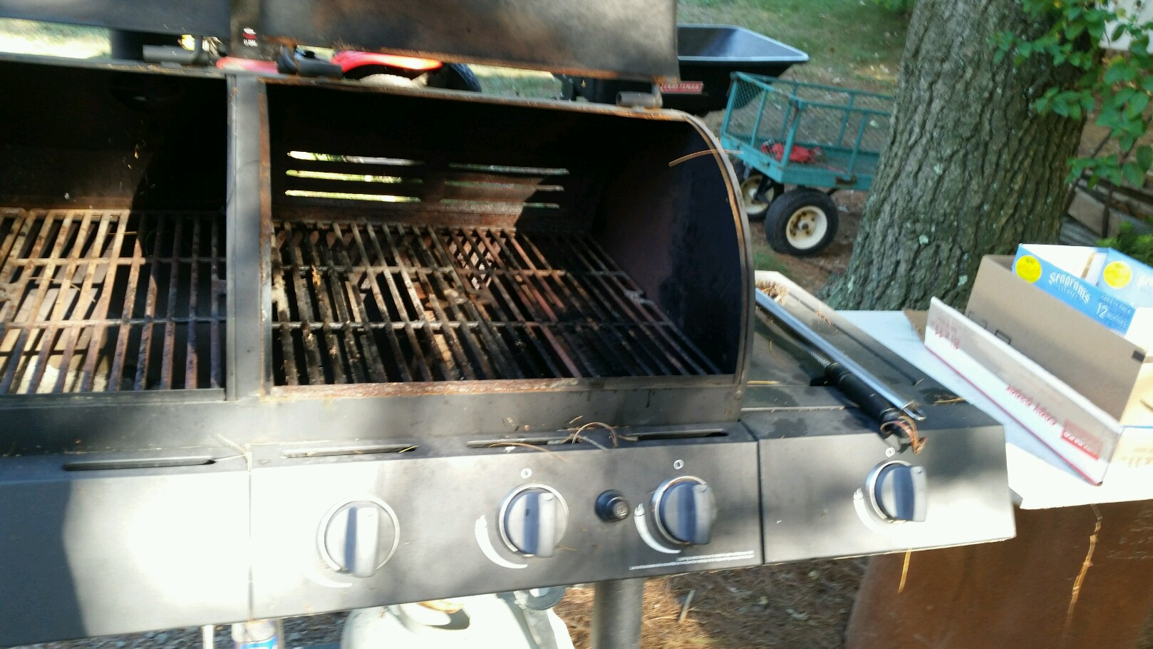 20160903_165239.jpg