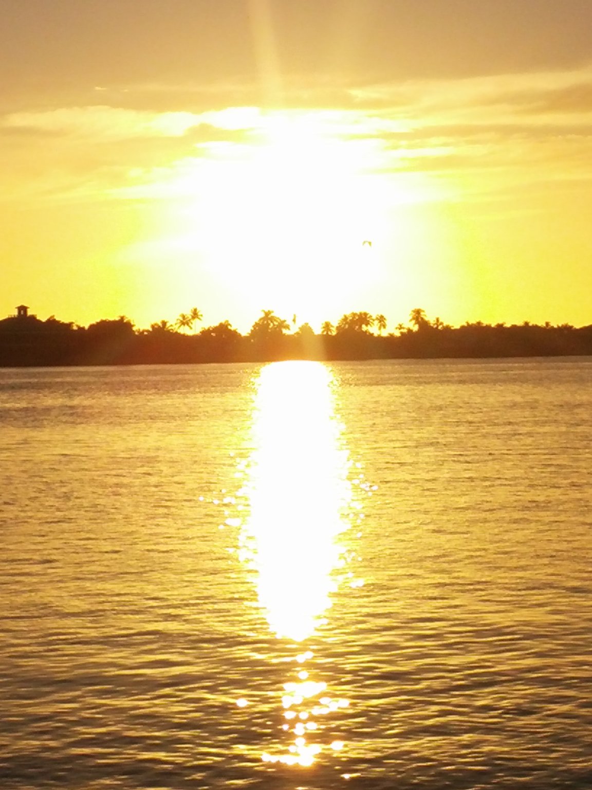 20161001_185648.jpg