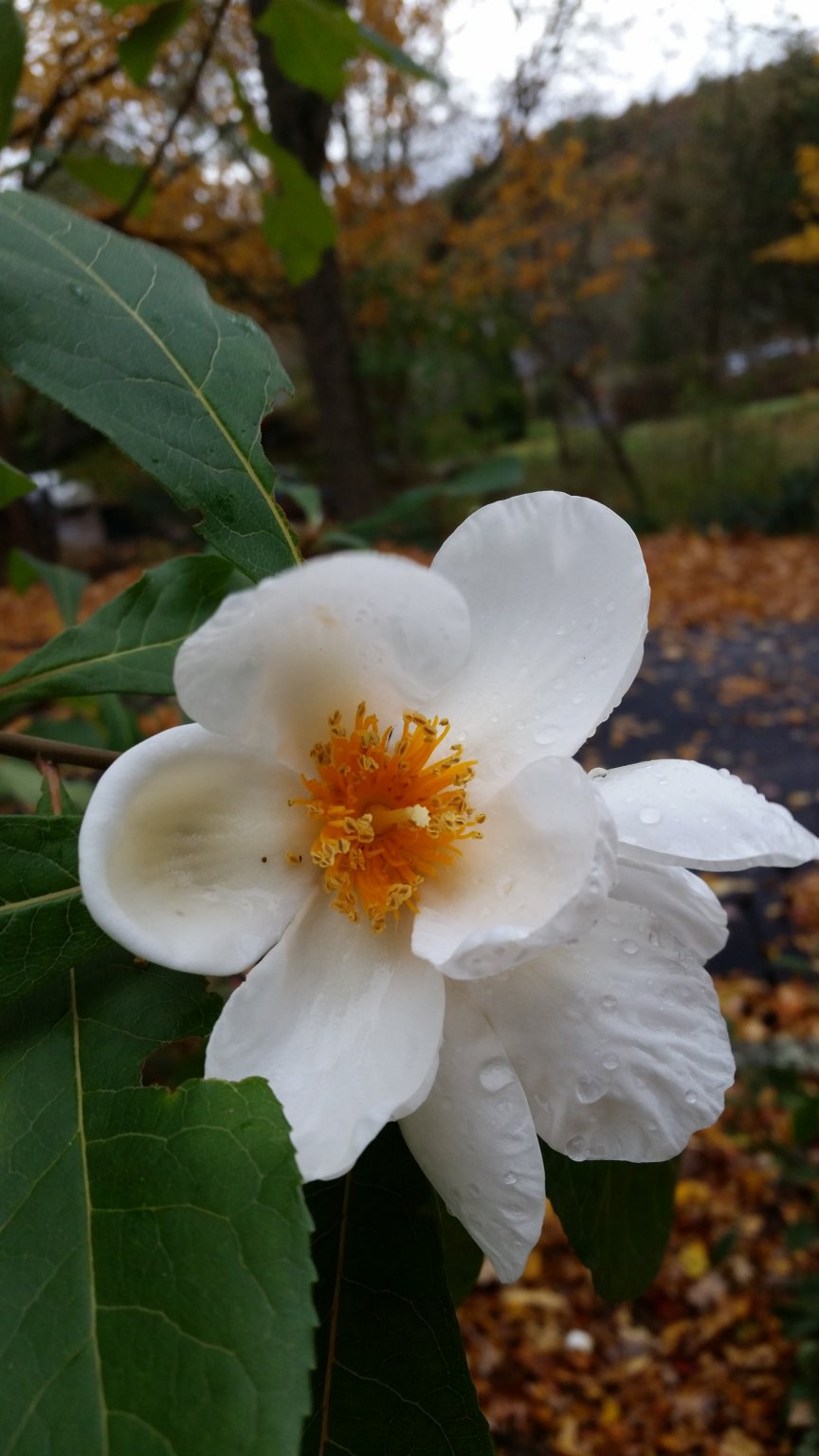 20161022_092507.jpg