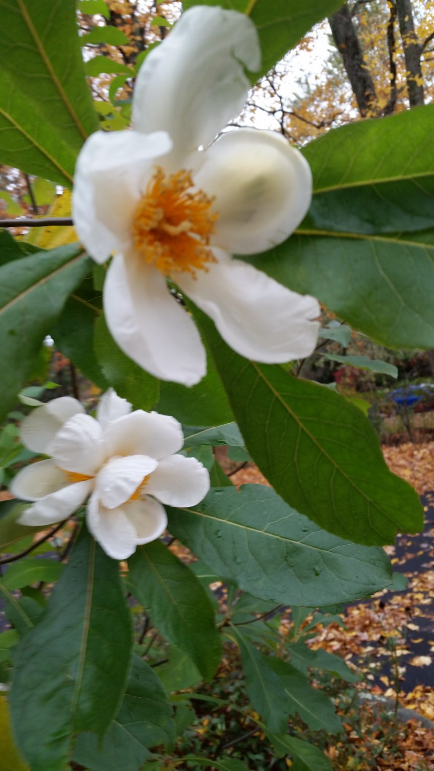 20161022_092521.jpg