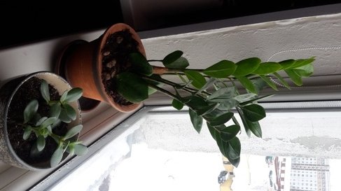 20161107_124030.jpg