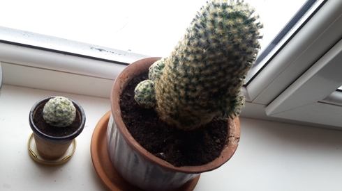 20161107_124046.jpg