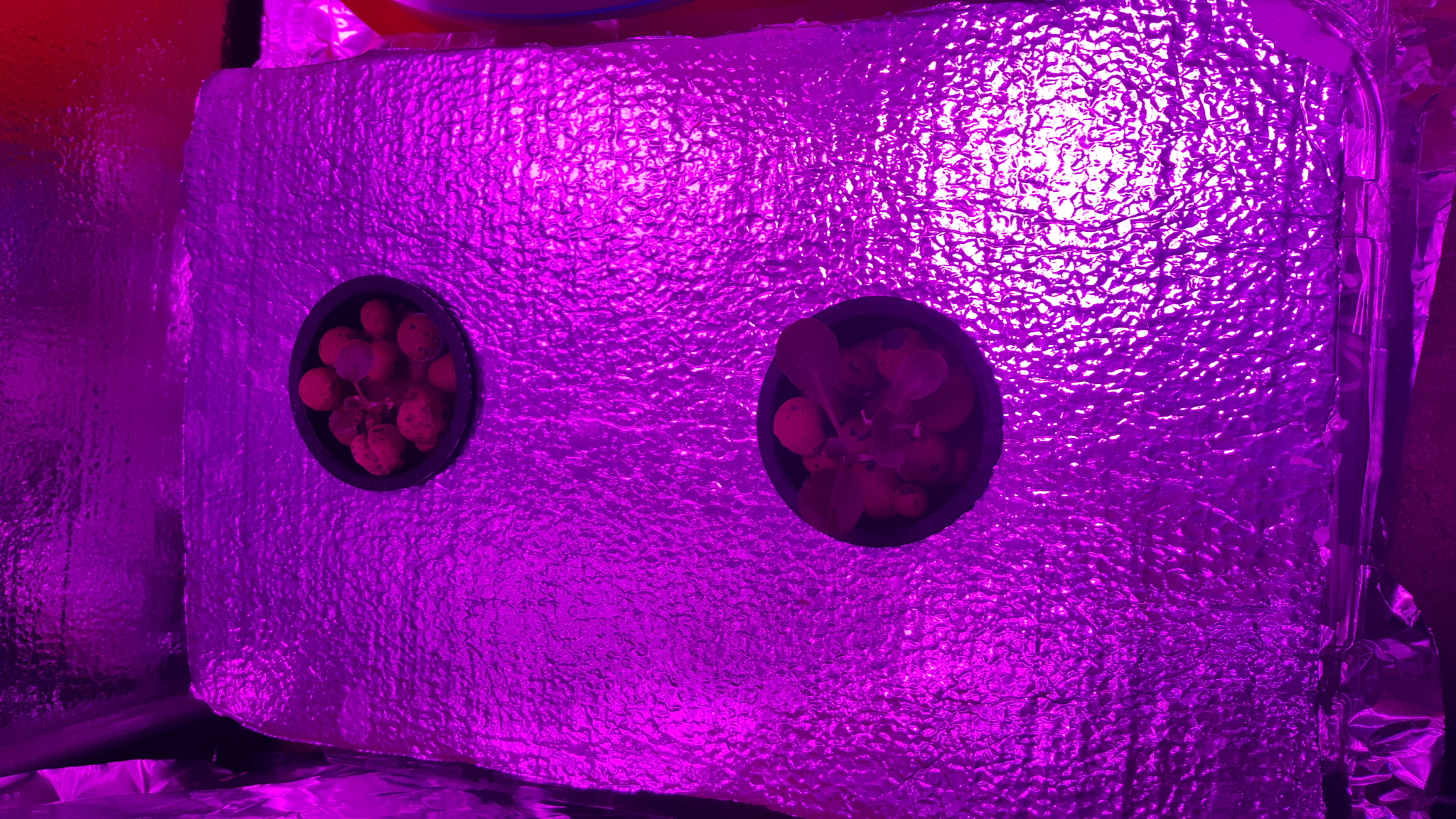 20161129_182547.jpg
