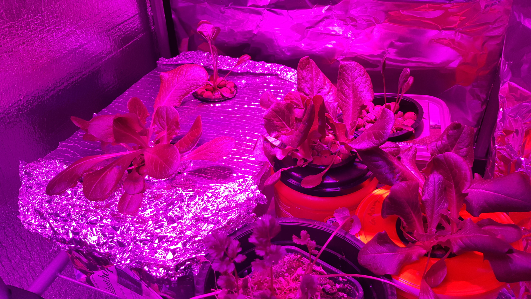 20161129_182610.jpg
