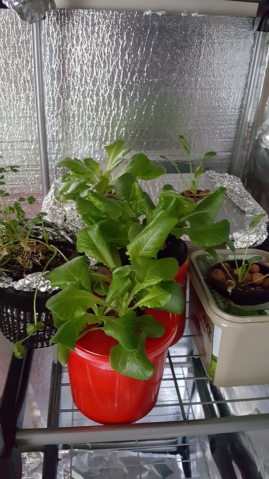 20161204_074236.jpg