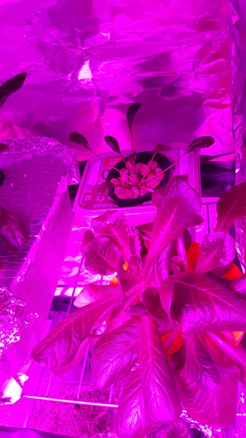 20161213_184625.jpg