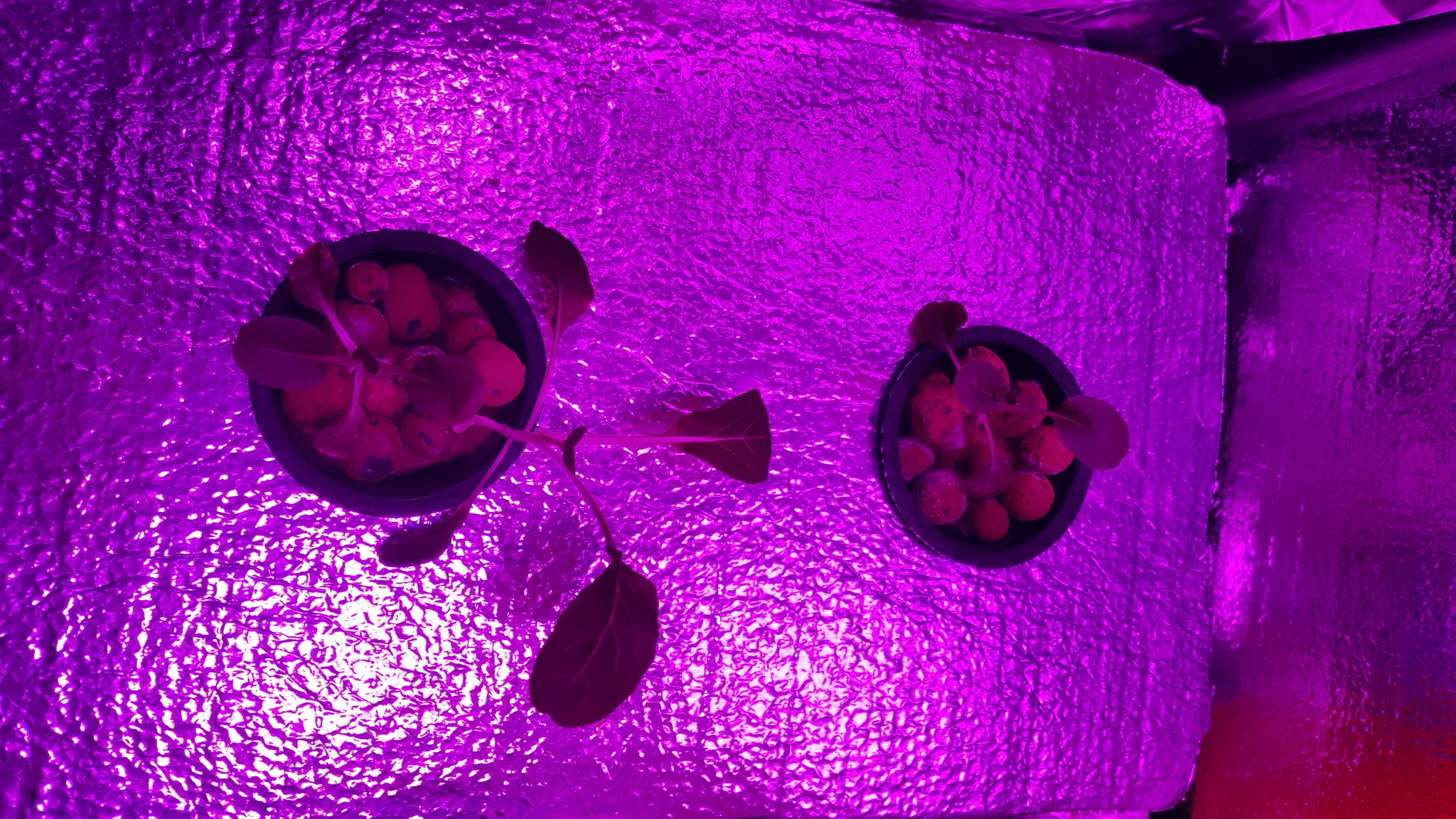 20161213_184655.jpg