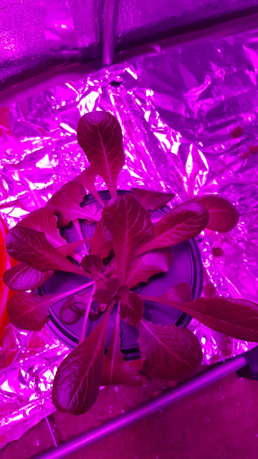 20161213_184810.jpg
