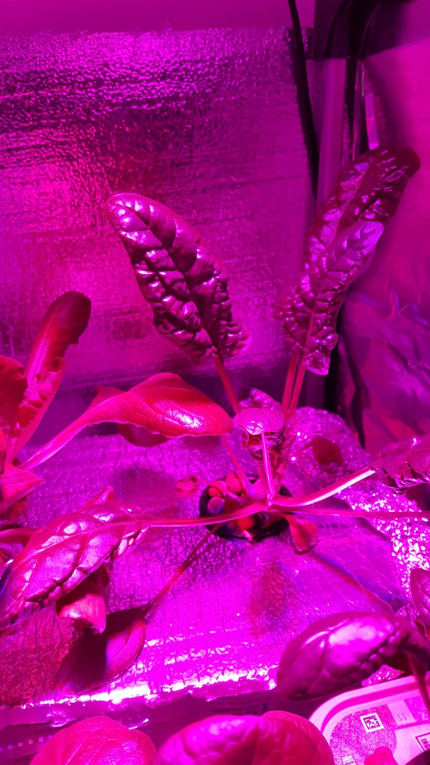 20161227_080027.jpg