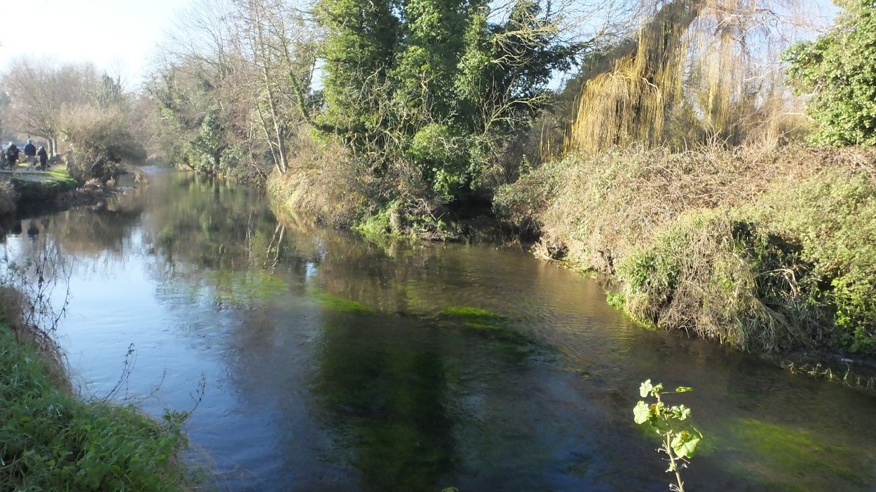 20161229 Peaceful river stour.JPG