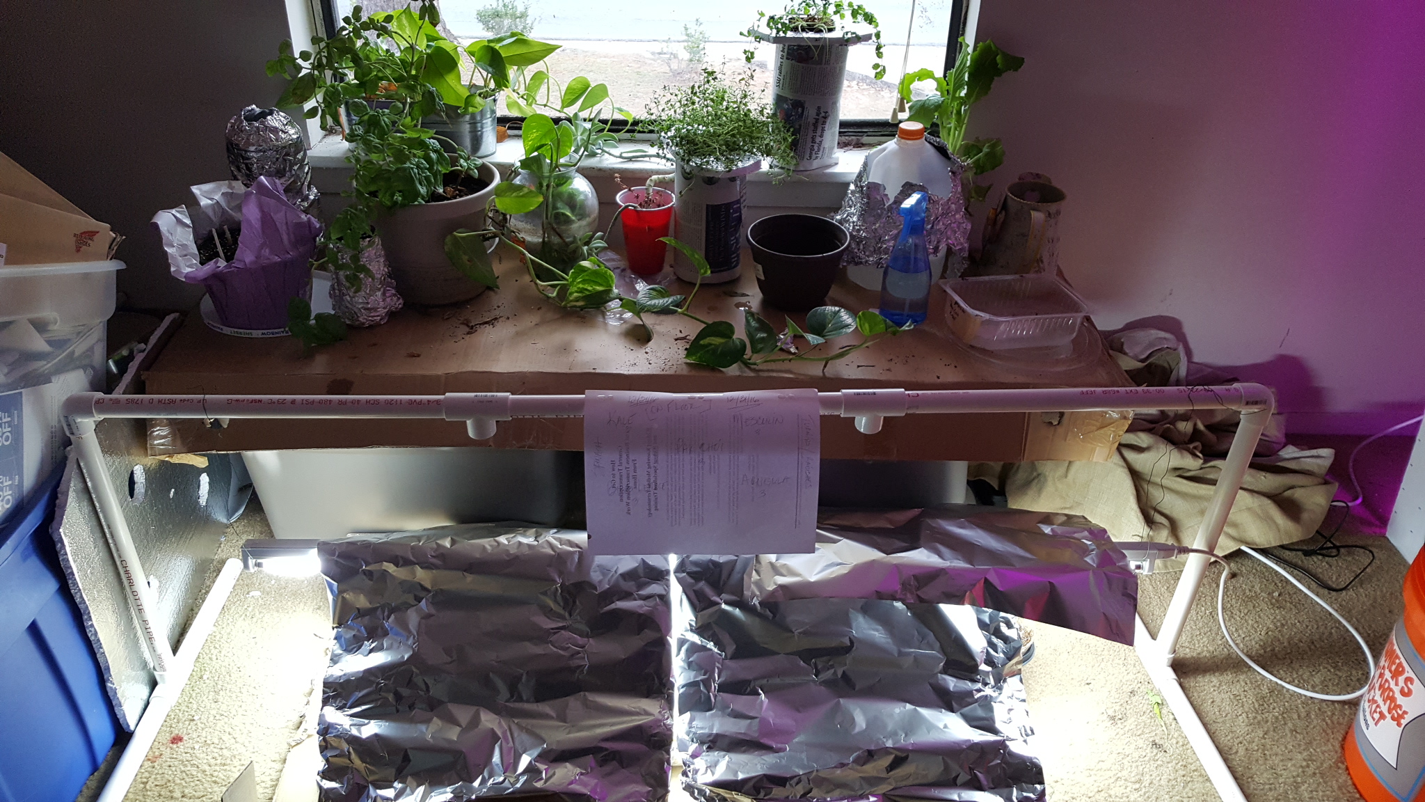 20161231_162204.jpg