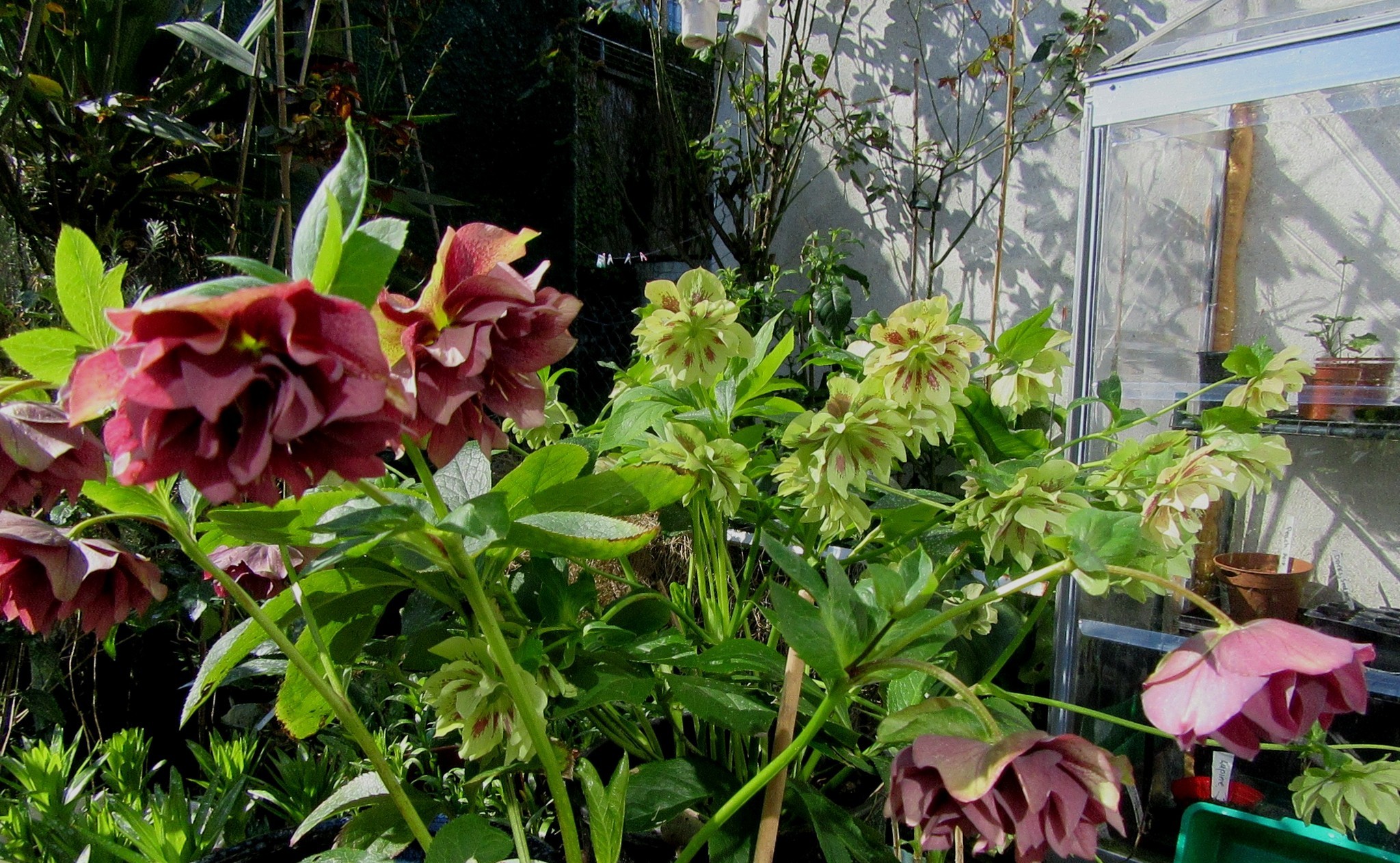 2017-03-25_11.27.57.jpg