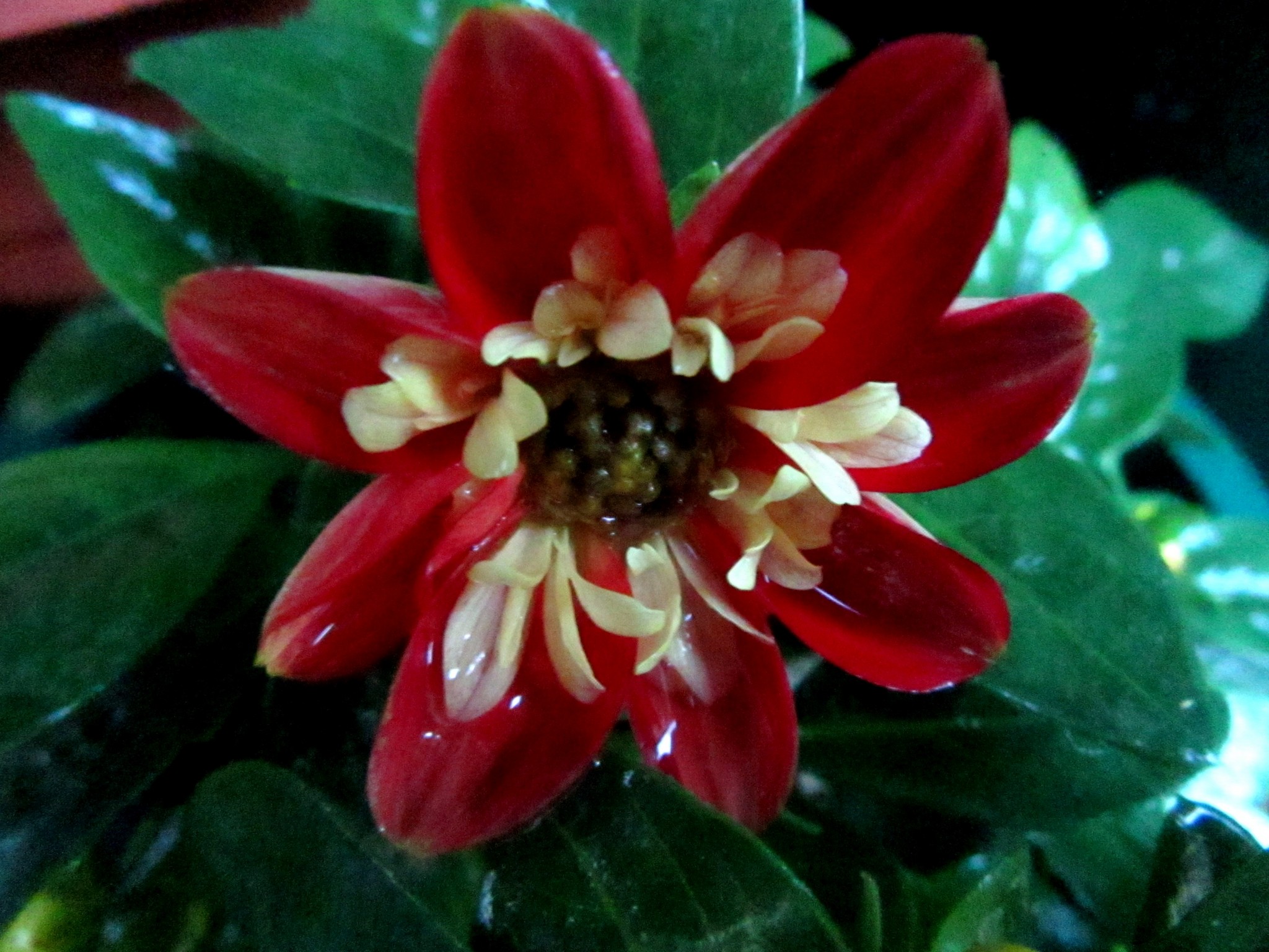 2017-05-07_20.03.21.jpg