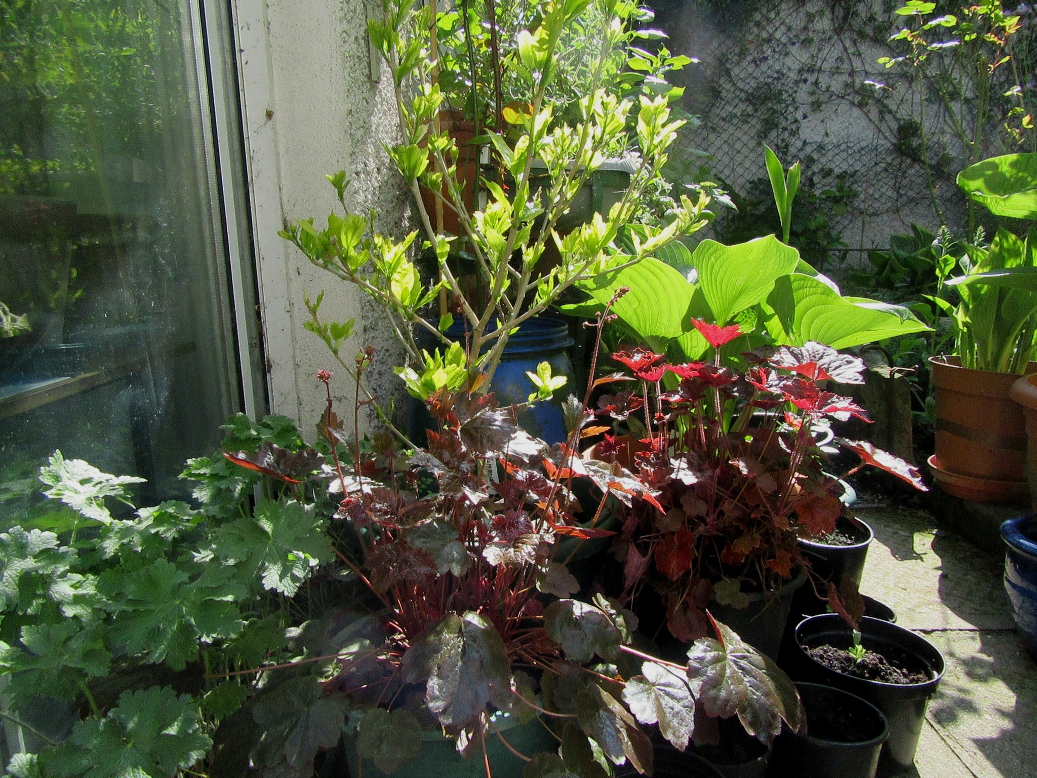 2017-05-10_10.02.25.jpg