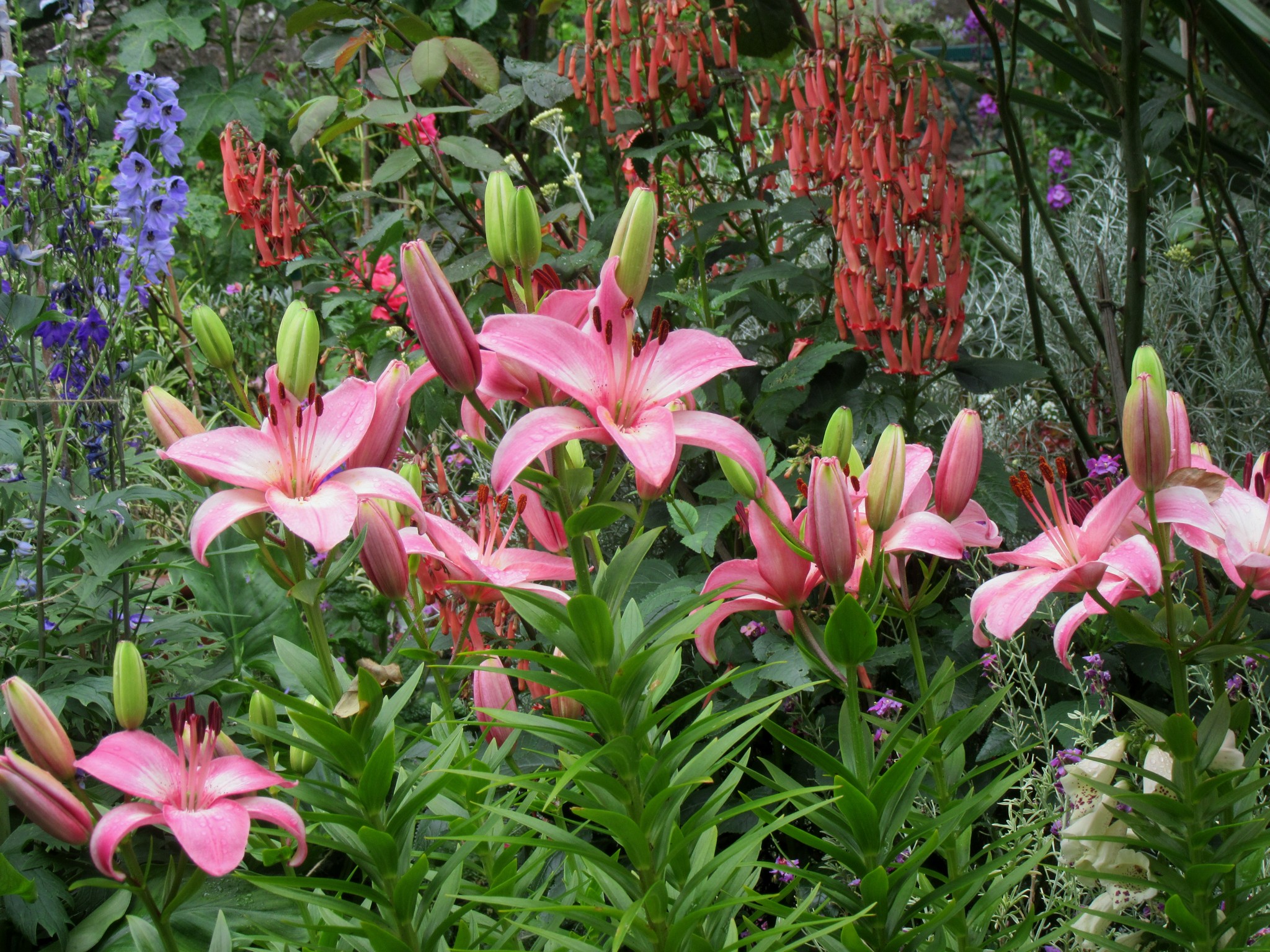2017-06-23_13.22.36.jpg