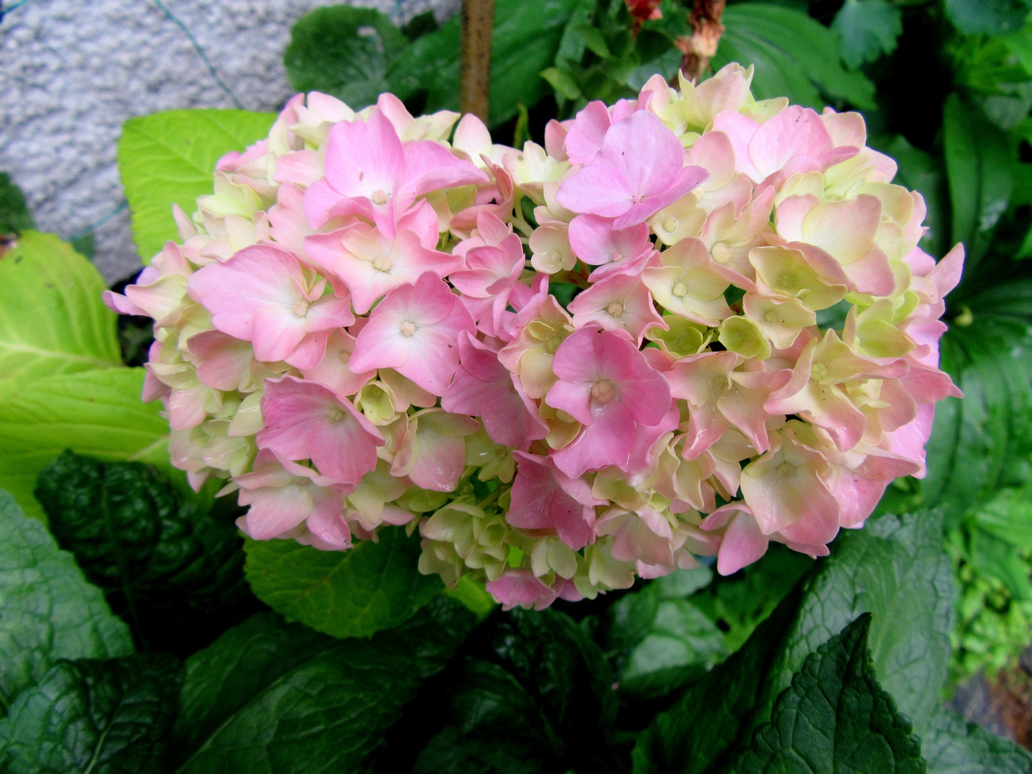 2017-06-23_13.26.56.jpg